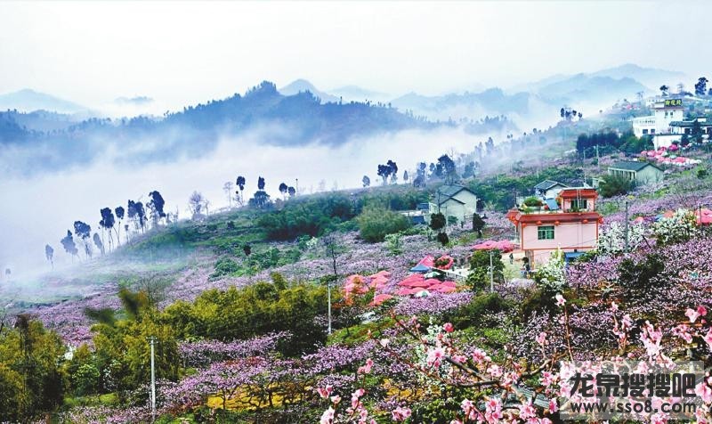 桃花故里：美好的田园风景 是我们的核心竞争力